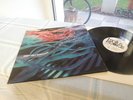HAIRY CHAPTER CAN´T GET THROUGH 1971 KRAUTROCK MONSTER
