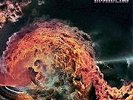 SPACE INVADERS - INVASION ON PLANET Z Coloured 2 x Vinyl LP Nasoni Records