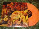 RINGWORM promise LP OG ORANGE CV sxe integrity one life crew confront madball