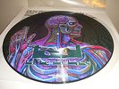 Tool - Lateralus- Picture Disc Promo LP - Rare