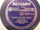 SPECKLED RED What Makes You Treat Me Mean?/Down On The Levee BLUEBIRD 8113 E++