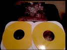 LA DISPUTE Wildlife Tour 2XLP Yellow/Yellow /168 Touche Amore Hot Water Music