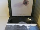 The Gathering ?– Nighttime Birds 1st Press LP Goth Rock Alternative Rock