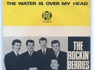 E2050 THE ROCKIN' BERRIES - THE WATER IS OVER MY HEAD - NORWAY 45 / PS