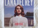 Lana Del Rey Vinyl