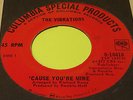 Northern Soul Oldie 45 The Vibrations 