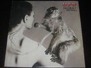 UFO rare US 1st press LP No Heavy Petting on Chrysalis EX+ HEAVY PROG METAL