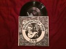 RUDIMENTARY PENI Live 7