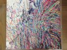 FLAMING LIPS - The Time Has Come--Stone Roses Cover Album. Limited 500.