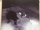 DEAD WEATHER BIZARRO Treat Me Like Your Mother 7/45 RARE 1/100 Third Man Records