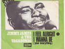 JIMMY JAMES & VAGABONDS I Feel Alright NORTHERN SOUL STOMPER Denmark 45 LISTEN