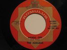 Northern Soul Popcorn- The Azaleas- 