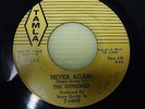 The Supremes Never Again /I Want a Guy TAMLA T-54038
