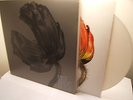 Pet Shop Boys *Release - Parlophone LP* Tennant Lowe Madonna Elton John Gaga SPK