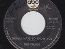 THE TRENDS Gonna Have To Show You on ABC 45 northern soul HEAR