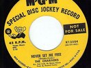 EX NORTHERN SOUL PROMO 45 I Dont Want To Lose You THE CHARADES MGM K13584