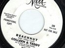 R&B MOD ROCKER WLP PROMO 45 Beachnut/Lonesome Blues COLLEEN TEDDY Mira 226 EX