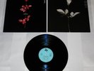 Depeche Mode : Violator, Rare 1st Press Vinyl LP 1990 Mute ?Stumm 64 Germany