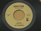 VAQUEROS ECHO / DESERT WIND AUDITION orig US GARAGE ROCK SURF INSTRO 7