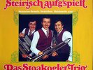 LP / STOAKOGLER TRIO / AUSTRIA / SELTEN /