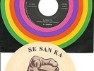 Single / WOLFGANG AMBROS / PROMO / AUSTRIA / RARITÄT /
