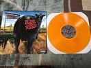 Blink 182 Dude Ranch LP Clear Orange OOP Hot Topic vinyl /2000
