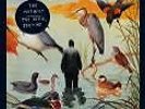 The Devil,You+Me von The Notwist (2008)