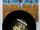 PORCUPINE TREE  - Stranger By the minute, rare unplayed 7