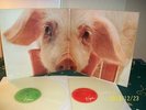 DEAD ON ARRIVAL SAMPLER WHITE VINYL DLP CAPTAIN BEEFHEART  XTC  KEVIN COYNE USW.