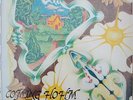ROSEMARY HADDAD Coming Hohm PRIVATE FOLK PSYCH RARE HIPPIE LP COSMIC ROCK HEAR