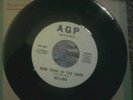Rare northern new york in the dark ad-libs apg records label 1966