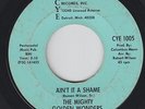 Soul Gospel 45 - Mighty Golden Wonders - Ain't It A Shame - CYE - mp3