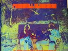 FAREWELL ALDEBARAN JUDY HENSKE JERRY YESTER PSYCH  STRAIGHT RECORDS 