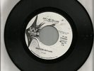Houston Outlaws Ain't No Telling/Uncle Ed's Backyard WLP 45 RPM Westbound