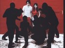 White Stripes - White Blood Cells (12