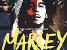 Bob Marley & The Wailers - Marley (Soundtrack) 3x12