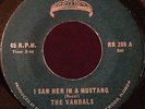 The Vandals GARAGE 45 I Saw Her In A Mustang / The Joker on Tiara Lbl BB53 HEAR