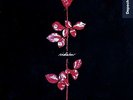 Depeche Mode - Violator Vinyl LP Stumm64 - INT 146.859 Mute near mint