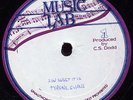 Tyrone Evans - How Sweet It Is JA orig Music Lab 10