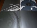 Vinyl LP / Neurosis The Eye Of Every Storm NR-033 Doom Metal Post Rock DoLP