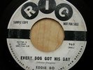 EDDIE BO every dog got his day  PROMO RIC 969 soul   RARE 45