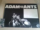 Adam and the Ants poster original 1977 punk