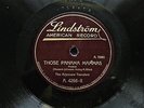 JAZZ: ARKANSAW TRAVELERS - THOSE PANAMA MAMAS ON RARE GERMAN LINDSTROM 78