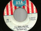 GARAGE FUZZ PSYCH - SHADY DAZE -- I'LL MAKE YOU PAY --HEAR -1967 CHICAGO U.S.A.