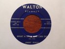 JIMMY WALLS What a Little Kiss Can Do on Walton Indiana Rockabilly 45 Hear
