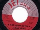 JACKIE PAINE - No puppy love.  JETSTREAM