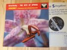STRAVINSKY-THE RITE OF SPRING-ANSERMET-DECCA SXL2042-WBG-ED1