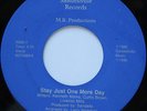 Rare Modern Sweet Soul 45 - Sandells - Stay Just One More Day - SANDELLVILLE mp3