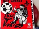 Hot Snakes - Audit In Progress 12