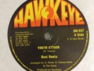 DESI ROOTS / TALENT INC - youth attack b/w mobilization / victory - HAWKEYE